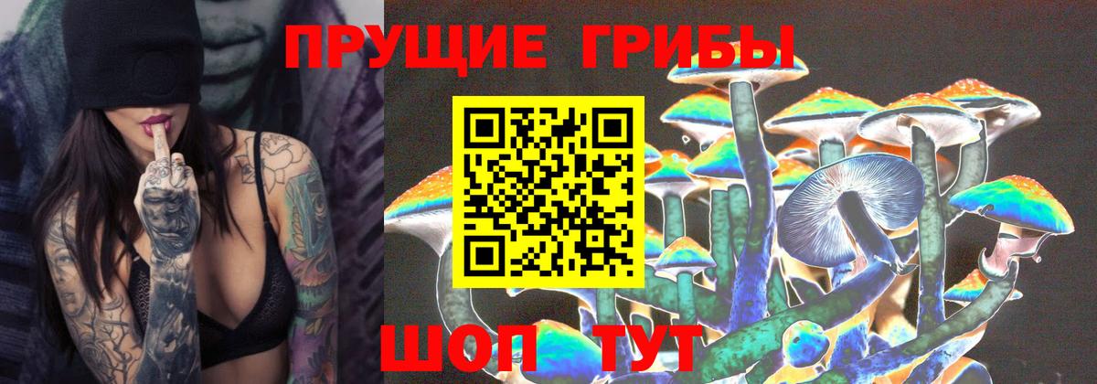 Кинель  Галлюциногенные грибы мухоморы  Вход с VPN 